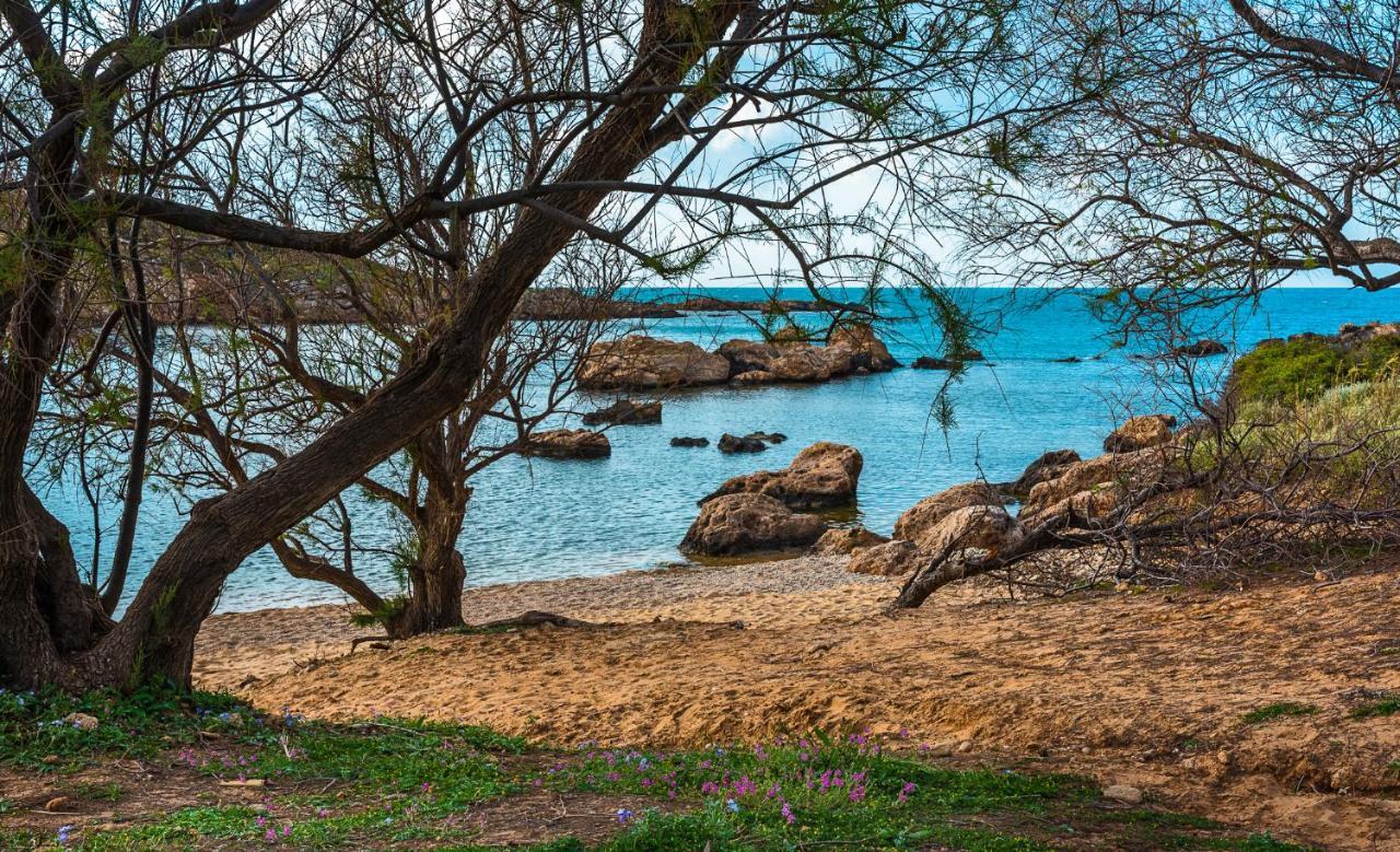 Thea Artemis Villa Kato Daratso Buitenkant foto